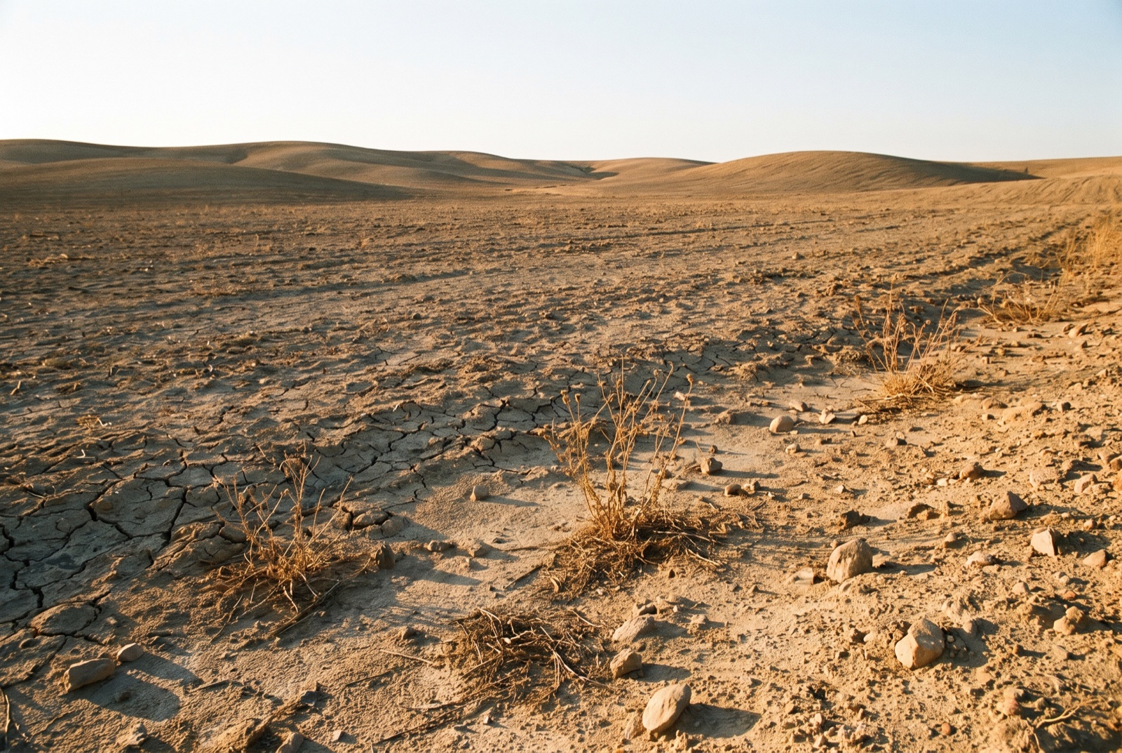 Bare, rocky, sandy, cracked depleted ground with sparse dead weeds and scattered stones